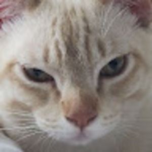 Meet your Posher, Jonathan